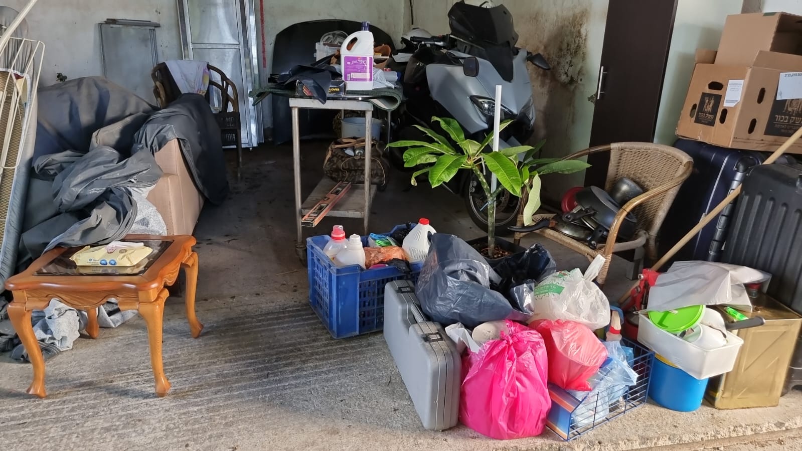 WhatsApp Image 2022-12-28 at 1.02.12 PM.jpeg